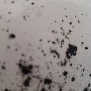 Meet your Posher, Kat